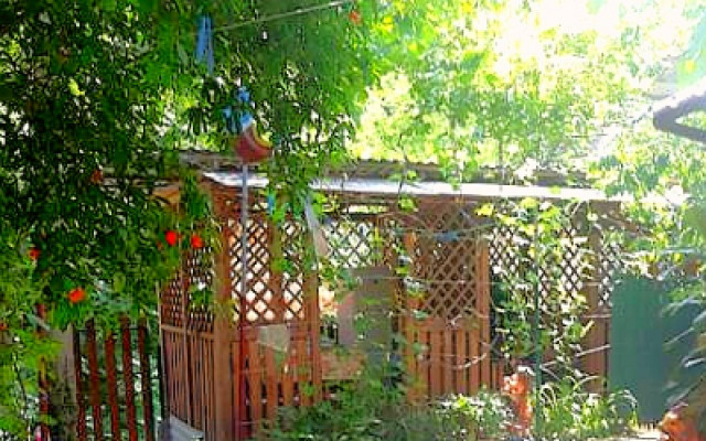 Фото 1-9782048