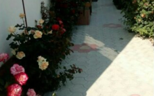 Фото 4-9733382