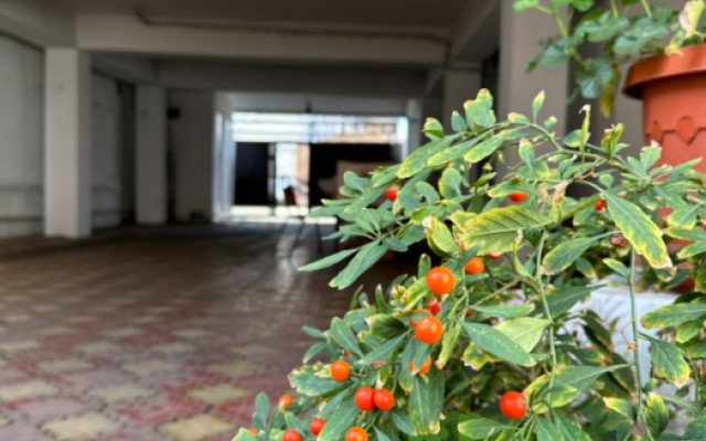 Фото 6-9971225