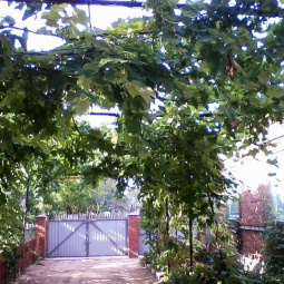 Фото 1-9816352