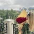 Мария  Павловна